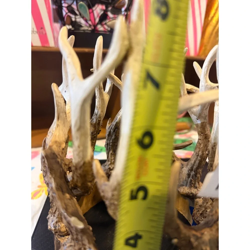 Pink Zebra Retired Rustic Faux Antler Candle Holder Centerpiece Brown